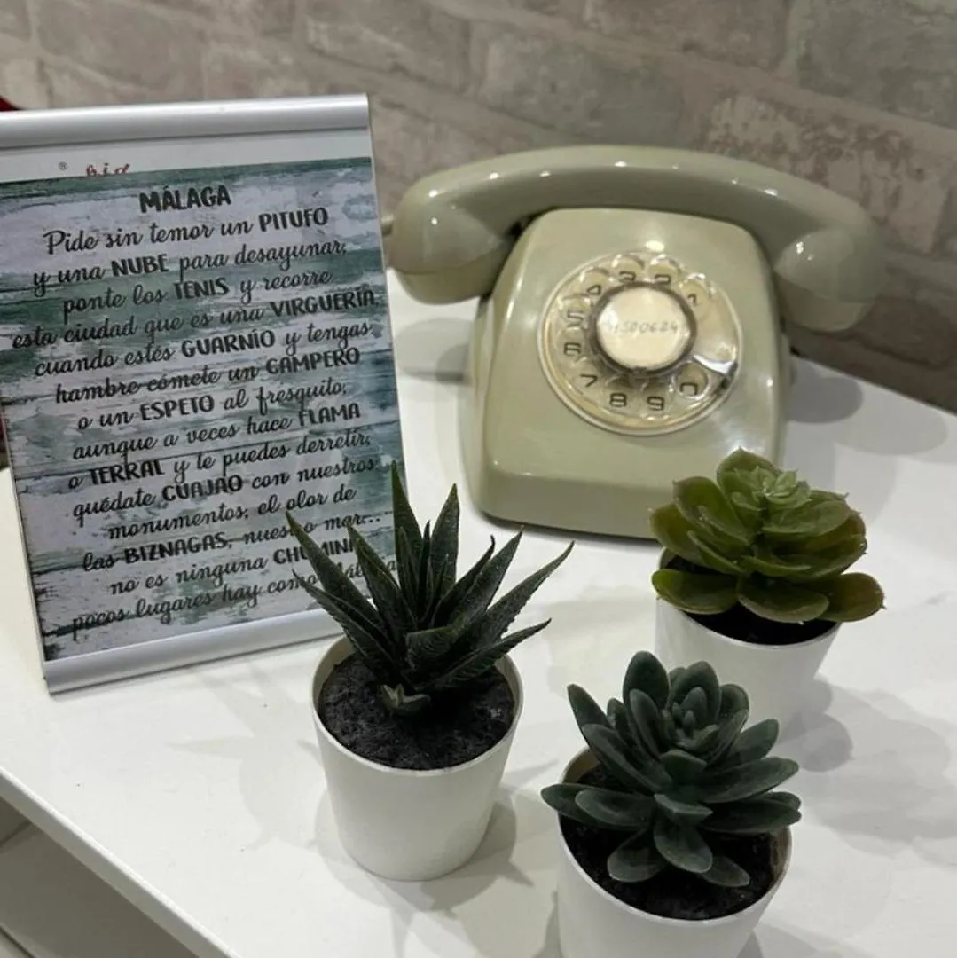 Apartamento Premium La Biznaga Malaga
